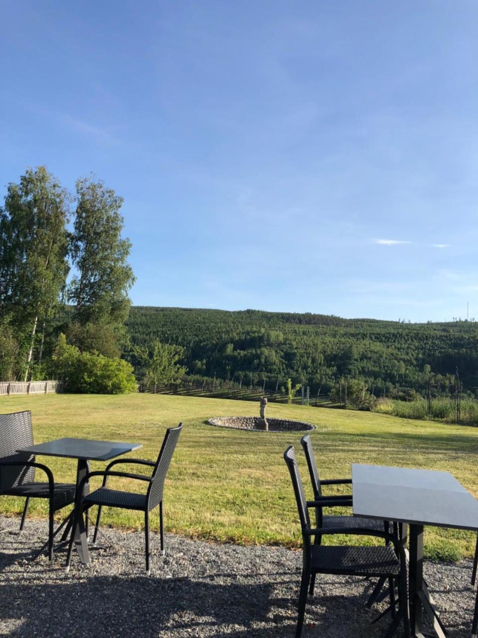Hotell Restaurang Naemforsen Näsåker Exterior foto